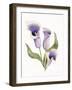 Easter Blessing Flower III-Kathleen Parr McKenna-Framed Art Print