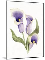 Easter Blessing Flower III-Kathleen Parr McKenna-Mounted Art Print