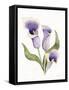 Easter Blessing Flower III-Kathleen Parr McKenna-Framed Stretched Canvas