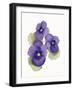 Easter Blessing Flower IX-Kathleen Parr McKenna-Framed Art Print