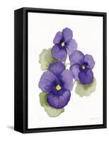 Easter Blessing Flower IX-Kathleen Parr McKenna-Framed Stretched Canvas