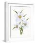 Easter Blessing Flowers I-Kathleen Parr McKenna-Framed Art Print