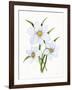 Easter Blessing Flowers I-Kathleen Parr McKenna-Framed Art Print