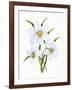 Easter Blessing Flowers I-Kathleen Parr McKenna-Framed Art Print