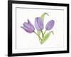 Easter Blessing Flowers II-Kathleen Parr McKenna-Framed Art Print