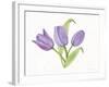 Easter Blessing Flowers II-Kathleen Parr McKenna-Framed Art Print