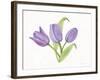 Easter Blessing Flowers II-Kathleen Parr McKenna-Framed Art Print
