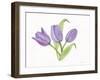 Easter Blessing Flowers II-Kathleen Parr McKenna-Framed Art Print