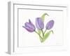 Easter Blessing Flowers II-Kathleen Parr McKenna-Framed Art Print