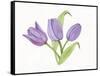 Easter Blessing Flowers II-Kathleen Parr McKenna-Framed Stretched Canvas