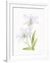 Easter Blessing Flowers IV-Kathleen Parr McKenna-Framed Art Print