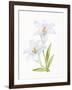 Easter Blessing Flowers IV-Kathleen Parr McKenna-Framed Art Print
