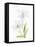 Easter Blessing Flowers IV-Kathleen Parr McKenna-Framed Stretched Canvas