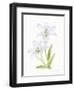 Easter Blessing Flowers IV-Kathleen Parr McKenna-Framed Art Print