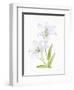 Easter Blessing Flowers IV-Kathleen Parr McKenna-Framed Art Print