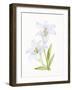 Easter Blessing Flowers IV-Kathleen Parr McKenna-Framed Art Print