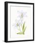 Easter Blessing Flowers IV-Kathleen Parr McKenna-Framed Art Print