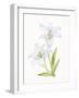 Easter Blessing Flowers IV-Kathleen Parr McKenna-Framed Art Print