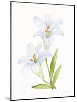 Easter Blessing Flowers IV-Kathleen Parr McKenna-Mounted Art Print