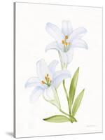 Easter Blessing Flowers IV-Kathleen Parr McKenna-Stretched Canvas