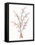 Easter Blessing Flowers V-Kathleen Parr McKenna-Framed Stretched Canvas