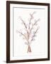 Easter Blessing Flowers V-Kathleen Parr McKenna-Framed Art Print