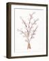 Easter Blessing Flowers V-Kathleen Parr McKenna-Framed Art Print