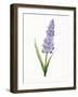 Easter Blessing Flowers VI-Kathleen Parr McKenna-Framed Art Print