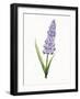 Easter Blessing Flowers VI-Kathleen Parr McKenna-Framed Art Print