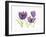 Easter Blessing Flowers VII-Kathleen Parr McKenna-Framed Art Print