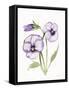 Easter Blessing Flowers VIII-Kathleen Parr McKenna-Framed Stretched Canvas