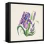 Easter Bloom II-Kristy Rice-Framed Stretched Canvas