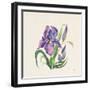 Easter Bloom II-Kristy Rice-Framed Art Print