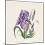Easter Bloom II-Kristy Rice-Mounted Art Print