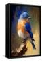 Easter Bluebird I-Vivienne Dupont-Framed Stretched Canvas