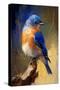 Easter Bluebird I-Vivienne Dupont-Stretched Canvas