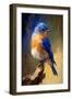 Easter Bluebird I-Vivienne Dupont-Framed Art Print