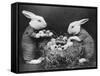 Easter Bunnies and Eggs-null-Framed Stretched Canvas