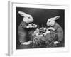 Easter Bunnies and Eggs-null-Framed Photographic Print