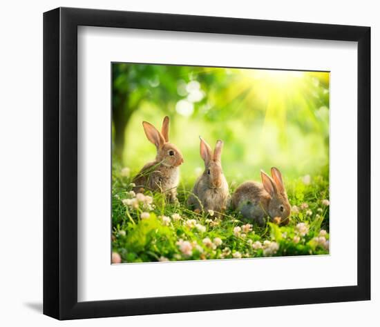 Easter Bunnies in Sunny Meadow-null-Framed Premium Giclee Print