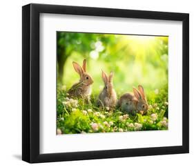 Easter Bunnies in Sunny Meadow-null-Framed Premium Giclee Print