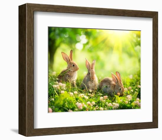 Easter Bunnies in Sunny Meadow-null-Framed Premium Giclee Print