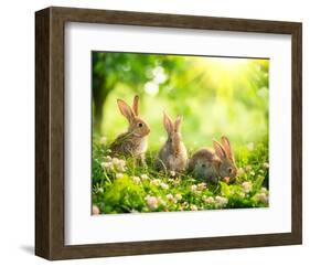 Easter Bunnies in Sunny Meadow-null-Framed Premium Giclee Print