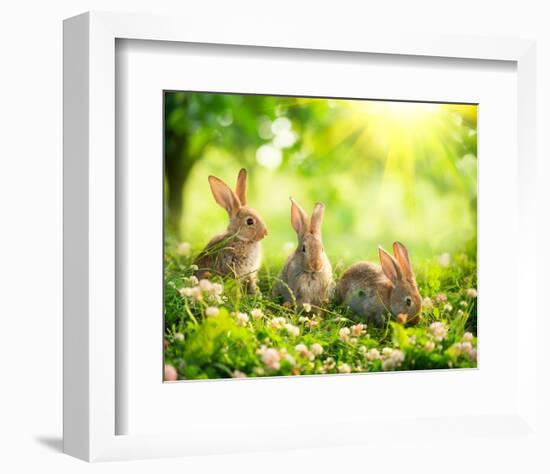 Easter Bunnies in Sunny Meadow-null-Framed Premium Giclee Print