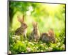 Easter Bunnies in Sunny Meadow-null-Mounted Premium Giclee Print