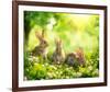 Easter Bunnies in Sunny Meadow-null-Framed Art Print