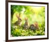 Easter Bunnies in Sunny Meadow-null-Framed Art Print