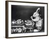 Easter Bunny and Eggs-null-Framed Photographic Print