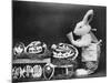 Easter Bunny and Eggs-null-Mounted Photographic Print