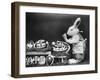 Easter Bunny and Eggs-null-Framed Photographic Print